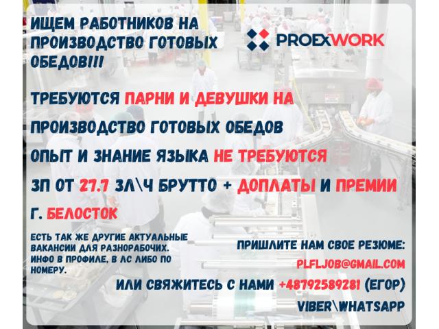 Работа для всех на производстве готовых обедов Białystok - e-Delo.pl - Работа в Польше
