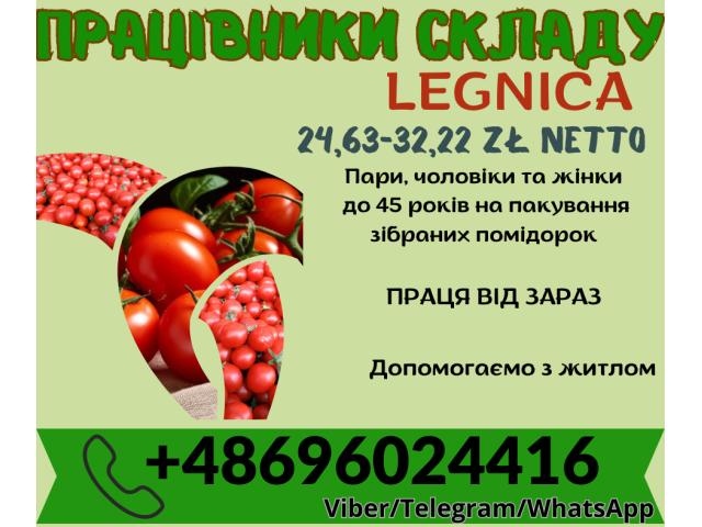 Упаковщик Legnica - e-Delo.pl - Работа в Польше