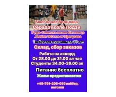 Склад,комплектация товара 7000-10000 зл