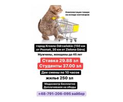 Комплектация товара склада Зоотоваров