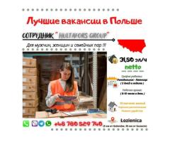 Сотрудник "Hultafors Group"