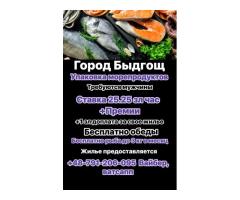 Упаковка морепродуктов в Быдгощи
