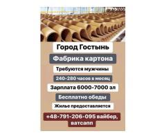 Фабрика картона,мужчины,6000-7000 зл
