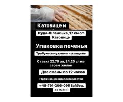 Упаковка печенья Катовице