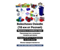Производство товаров для уборки дома,мужчины,Познань