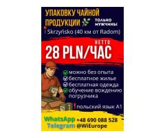 Помощник на загрузку и упаковку чайной продукции