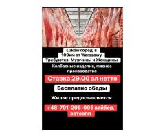 Разнорабочий на мясное производство от 29,00 зл час,Лукув