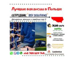 Сотрудник "DSV Solutions"