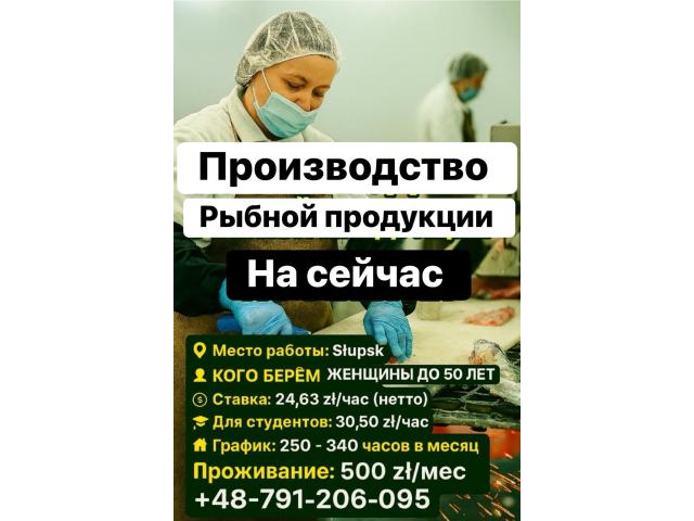 Работники на рыбный завод в Слупске Słupsk - e-Delo.pl - Работа в Польше