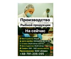 Работники на рыбный завод в Слупске