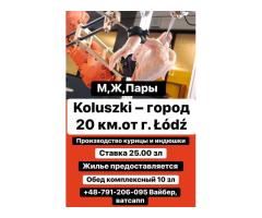 Куриное производство возле Лодзи