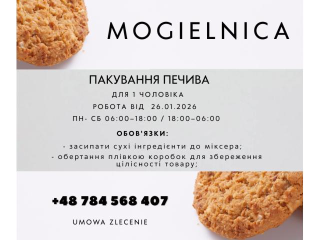 Пакування печива (1 чоловік від 26.01.2026 ) Mogielnica - e-Delo.pl - Работа в Польше