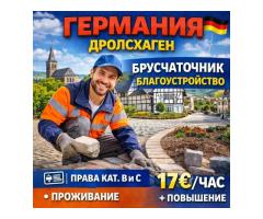 Брусчаточник