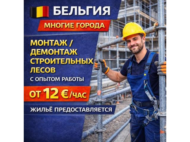 Монтаж-демонтаж строительных лесов Варшава - e-Delo.pl - Работа в Польше