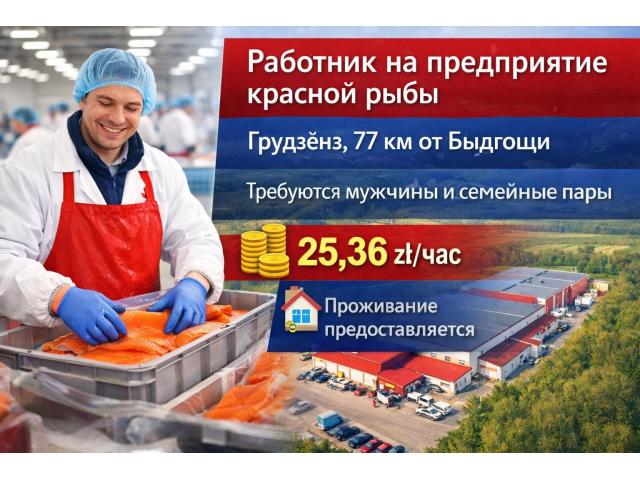 Работник на рыбном предприятии,мужчины и пары Быдгощ - e-Delo.pl - Работа в Польше