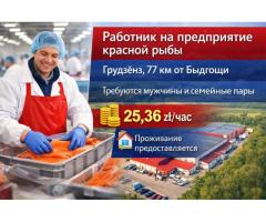 Работник на рыбном предприятии,мужчины и пары