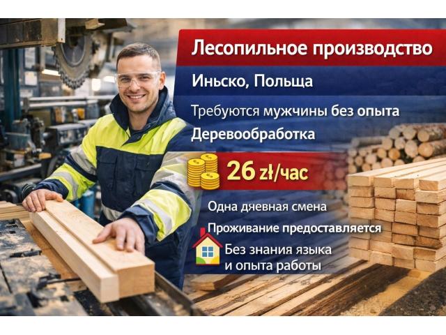 Деревообрабатывающий завод,лесопилка Иньско - e-Delo.pl - Работа в Польше