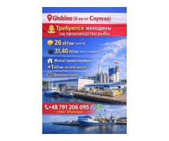 Производство рыбки