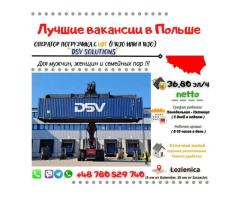 Оператор погрузчика с UDT (I WJO или II WJO) "DSV Solutions"  в Goleniów