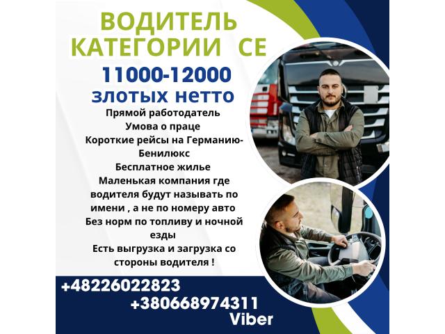 Водитель C+E по Европе, короткие рейсы, маленькая компания Познань - e-Delo.pl - Работа в Польше