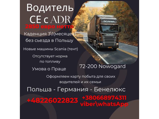 Водитель С+Е с АДР ( длительные рейсы без съезда на базу ) Новогард - e-Delo.pl - Работа в Польше