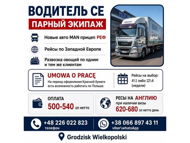 Водитель СЕ, парный экипаж, РЕФ, перевозка овощей Гродзиск-Мазовецкий - e-Delo.pl - Работа в Польше
