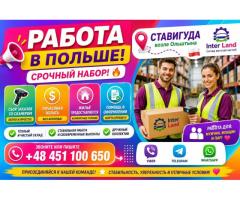✨🚀 ХВАТИТ ИСКАТЬ! ТВОЯ НОВАЯ РАБОТА УЖЕ ЖДЁТ! 🚀✨