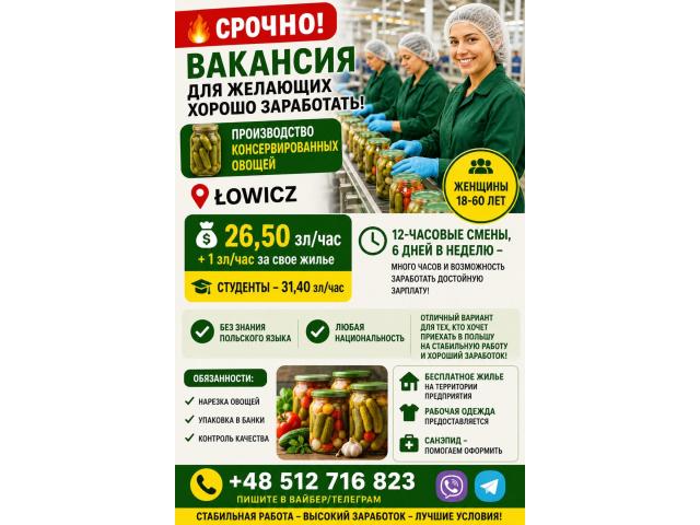Работник производства консервированных огурцов Лович - e-Delo.pl - Работа в Польше
