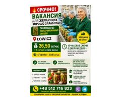 Работник производства консервированных огурцов