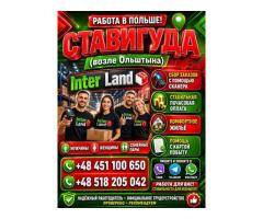 magazynier