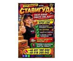 🚀 Нужна стабильная работа? Мы ждём тебя!