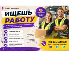 ✨ Иногда новая работа — это просто один правильный звонок.