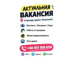 ✨ РОБОТА НА СКЛАДІ АВТОЗАПЧАСТИН