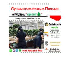 VAN LINT🌲| Słubice+ Нидерланды