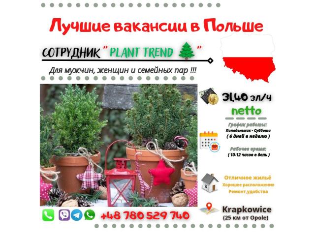 PLANT TREND 🌲крупные города Польши+ Нидерланды Ополе-Любельске - e-Delo.pl - Работа в Польше