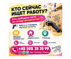 🚨 РАБОТА В STAWIGUDA! 🚨
